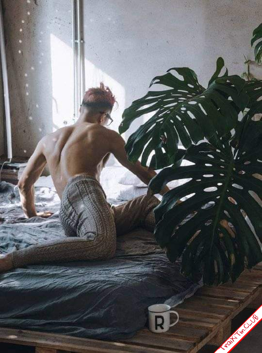 [​IMG]